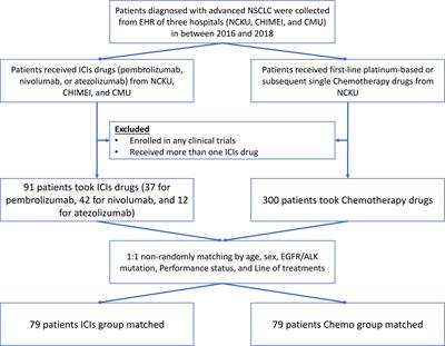 The Effectiveness and Safety of Immune Checkpoint Inhibitors in Non-Small Cell Lung Cancer Patients With Stage III/IV: A Multicenter Study